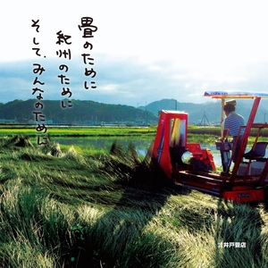 GQwzMf4r8VP7snR2araS.jpg?w=940&h=940