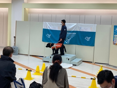 GSKrAJlP8zkiwvsnNe5K.jpg?w=940&h=940