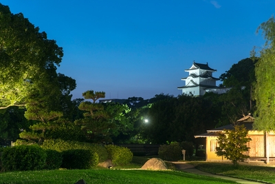 GSMtLtHJlHf0DBkxexlm.jpg?w=940&h=940