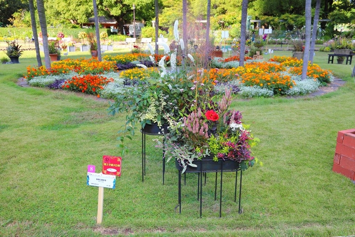 2023年度 国土交通大臣賞 ≪秋色に染まる≫ 田中 敏子