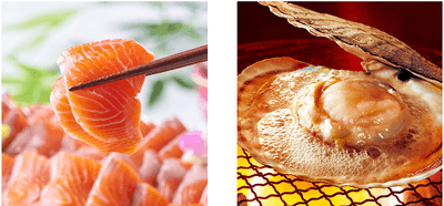 GSkSjDK6q3slshmoNEH6.png?w=940&h=940