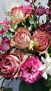 GT7CiL3nbu2EPBlpEokq.jpg?w=940&h=940