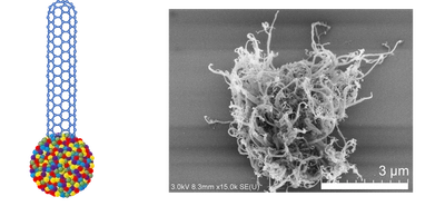 【名城大学】ハイエントロピー合金からのカーボンナノチューブ合成に成功―エレクトロニクス分野への応用に期待―