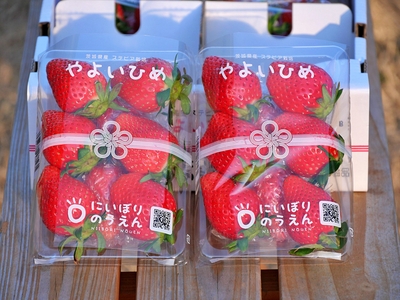 GUp5zhalP2gbkpHLhACi.jpg?w=940&h=940