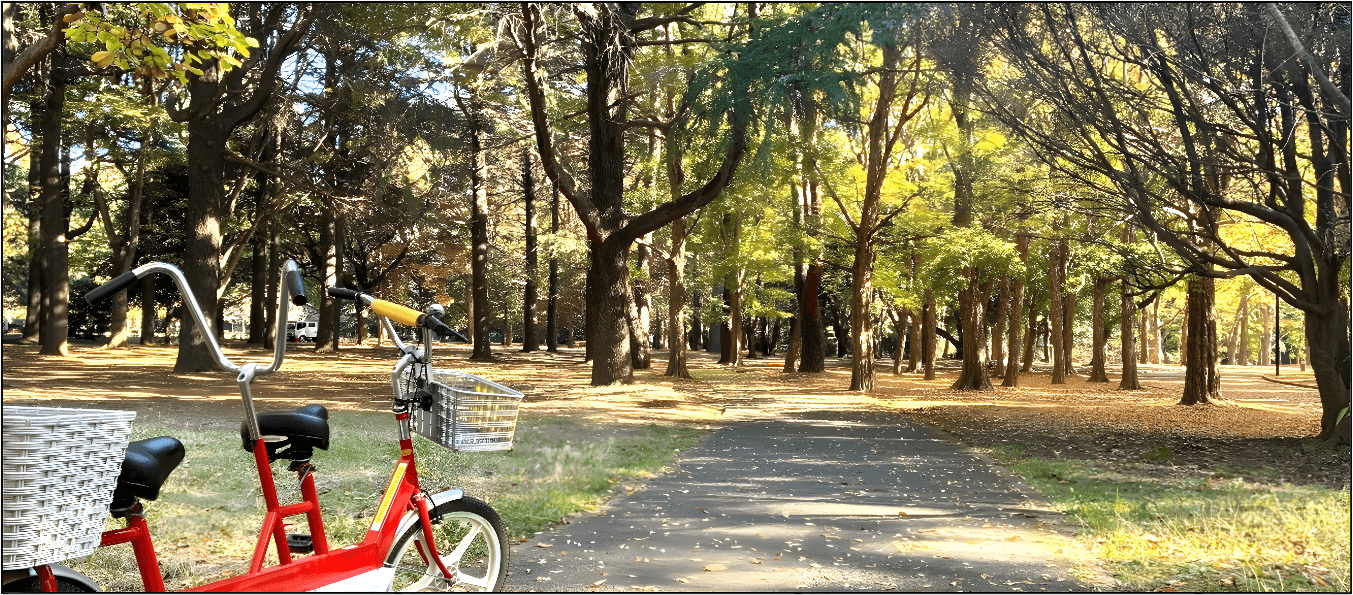 代々木公園サイクリングコース