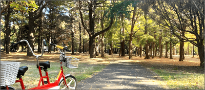 代々木公園サイクリングコース