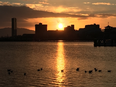 GVWVka7vFXaqaI6cgBtB.jpg?w=940&h=940