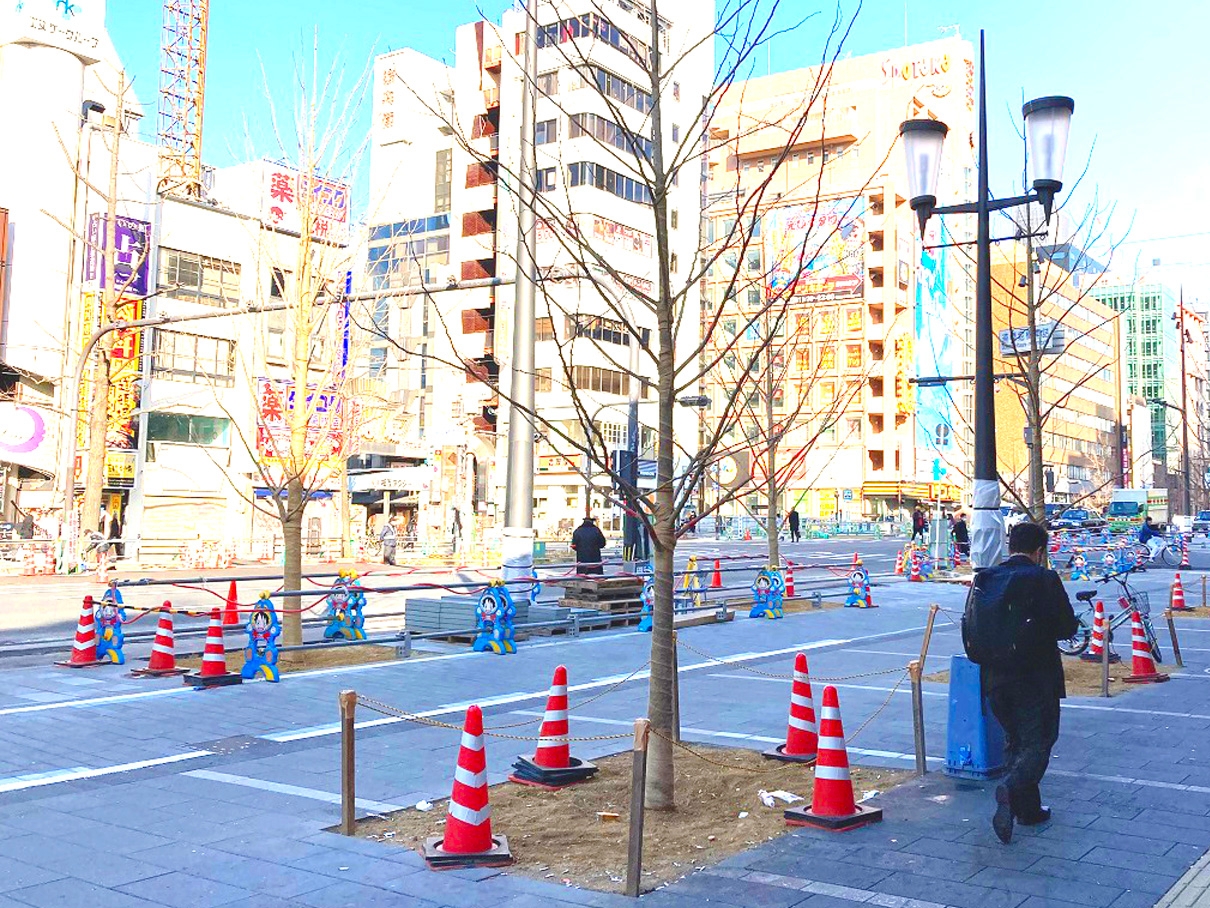 「御堂筋のイチョウ並木」に対する支援について/大阪市要請に基づきイチョウ14本を提供