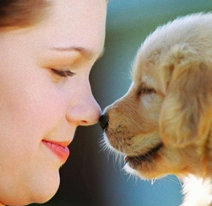 GXIAz1oR8YIGFh0ZRfso.jpg?w=940&h=940