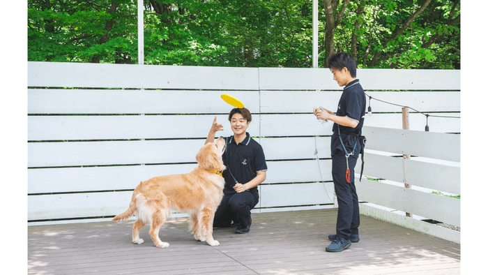 プロドッグトレーナー