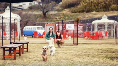 愛犬との絆を深めよう！ 1日限定イベント「わんわんフェスタ」を11月1日に開催！