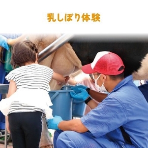 GYqjsF0TLZYTXuJ4xfsK.jpg?w=940&h=940