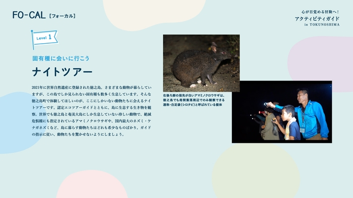 「旅色FO-CAL」徳之島町特集:アクティビティガイド