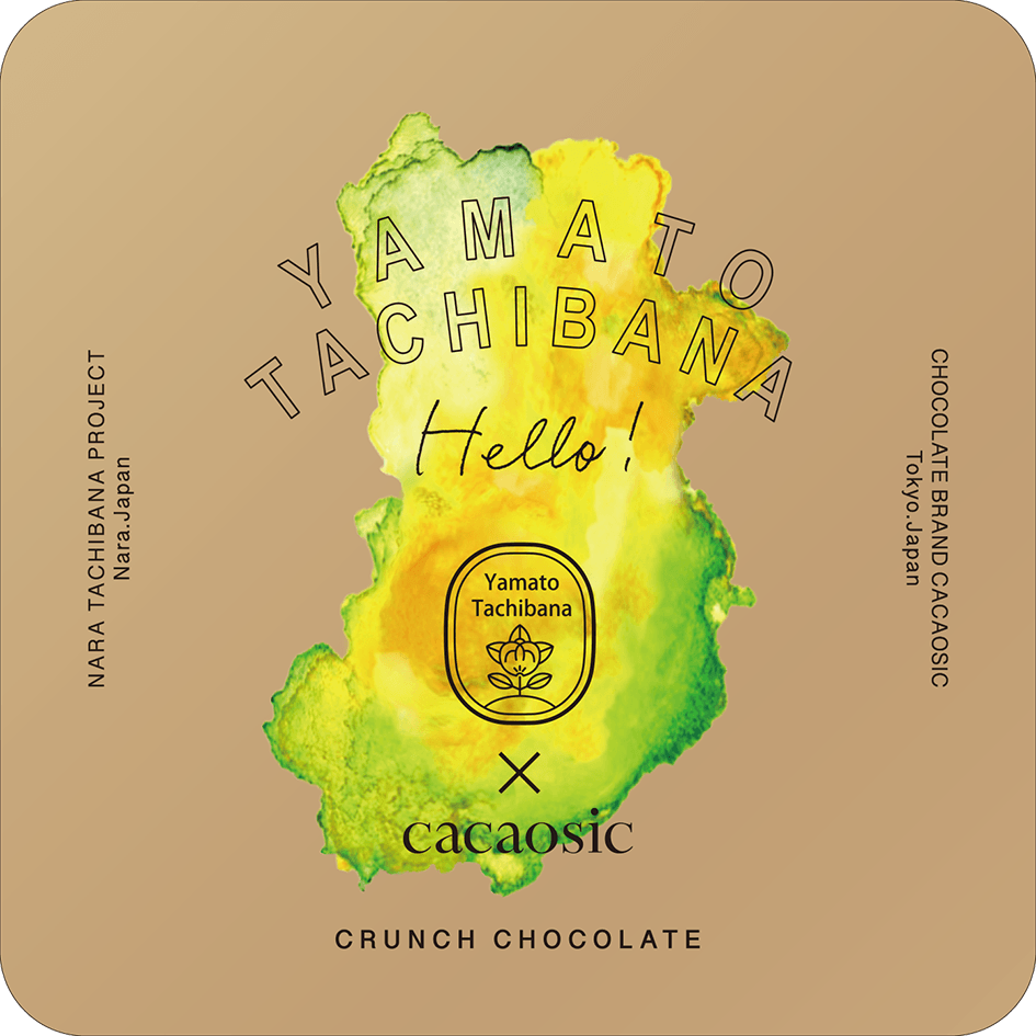 大和橘ロッシェ デザイン