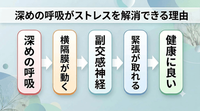 Ga6dOGndX2tiLEo8KOnO.png?w=940&h=940
