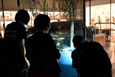 懐中電灯を照らしながら館内を見学