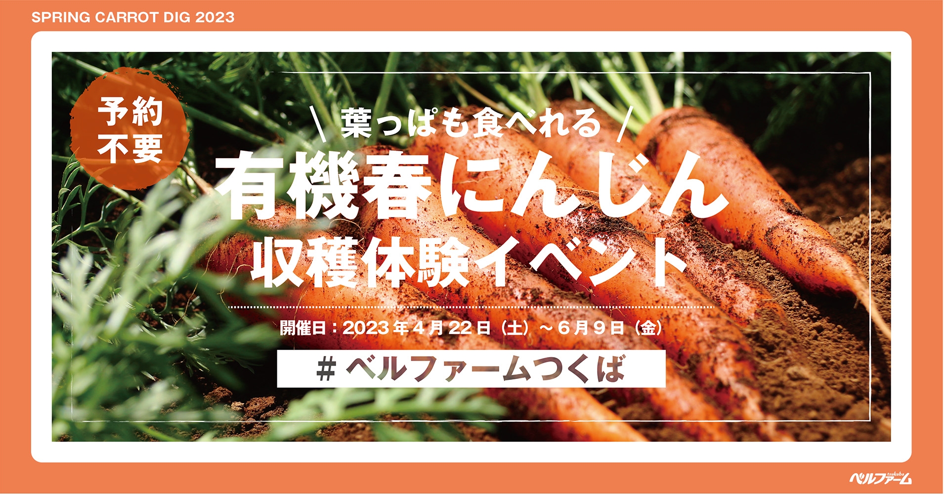【ベルファームつくば】ベルファームの有機農場で土に触れて自然を感じよう！！ 葉っぱまで食べれる春にんじん収穫体験イベント｜期間：2023年4月22日（土）～6月9日（金）