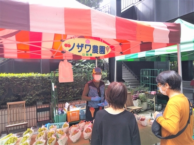 Gc7mp8dtqPEuRok8I4TV.jpg?w=940&h=940