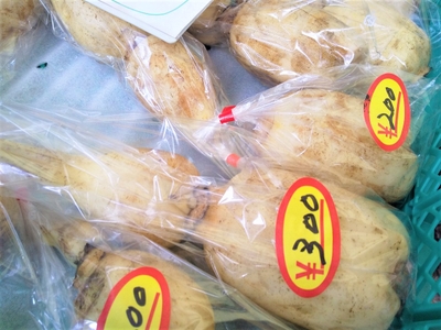 Gd5vUfzSGsqCz0j3jjWo.jpg?w=940&h=940