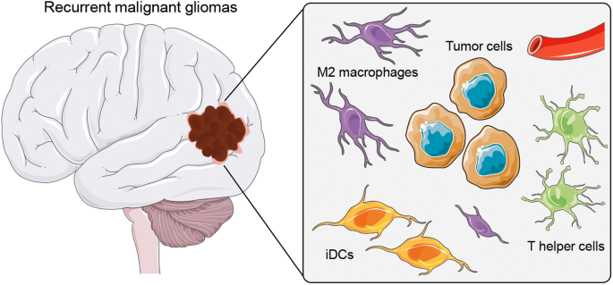 再発性悪性神経膠腫の市場規模、成長、機会、予測2024-2034