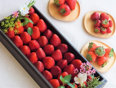 GdJOjhglUdTc7Z3y5c0F.jpg?w=940&h=940