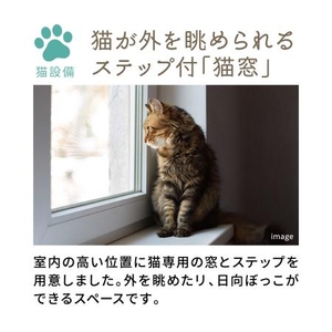 GeMIcJDLZx57ZDerbaLA.jpg?w=940&h=940