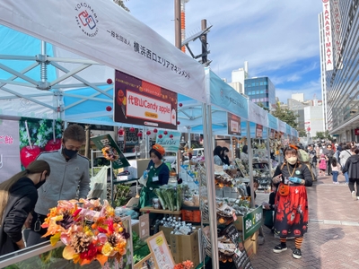 GfOFk5w4HZXvqEtzOSaG.jpg?w=940&h=940