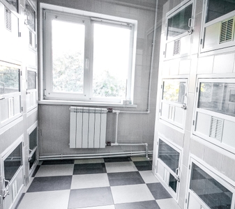 Gfgs8Wst067Ni6VwQZrR.jpeg?w=940&h=940