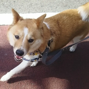 GgLTjpULMoVNBDvdDMbQ.jpg?w=940&h=940