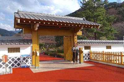 土肥金山