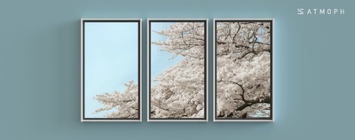 GgdzOeHRsEX2nhETpWEF.jpg?w=940&h=940