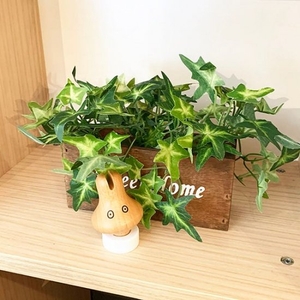 GhKtQBDQyGGW0cddDOpe.jpg?w=940&h=940