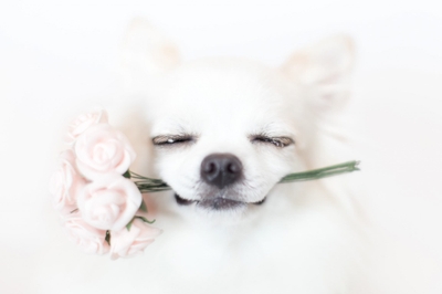 GhWmUq0eisdTfDTX9lrY.jpeg?w=940&h=940