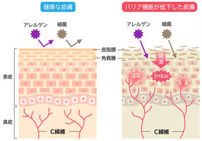 GjdFyFm5XESj9dCLNy5L.png?w=940&h=940