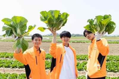 新入社員が野菜の収穫を体験しました（5月）