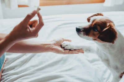 GlslAXRTXNiffZeJS8Dw.jpeg?w=940&h=940