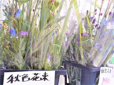 GmmyJLZDleq5BhX22qV4.jpg?w=940&h=940