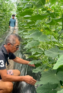 GnfbhvHrO9bnNqDbFPRZ.jpg?w=940&h=940