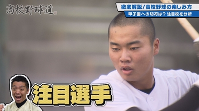 GnvXWwjpU51iFB6CprOM.jpg?w=940&h=940