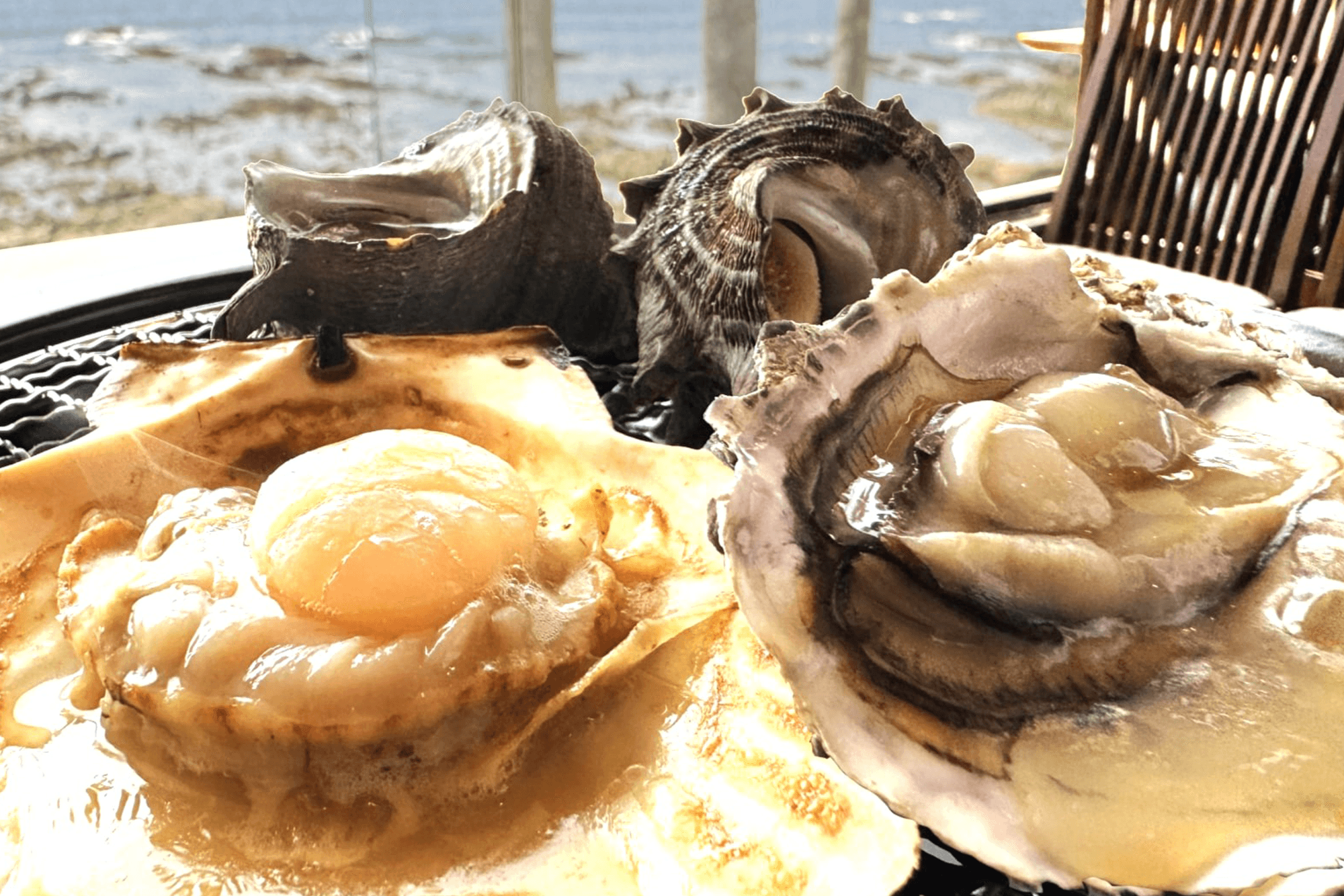 【期間限定】昨年テレビで紹介された人気企画が復活！全室オーシャンビューのリゾートで楽しむ海鮮網焼き