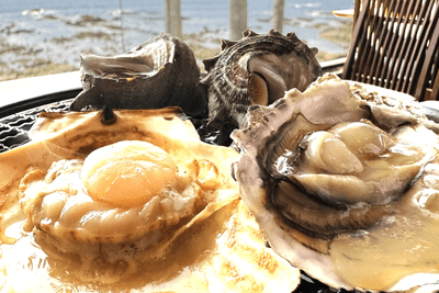【期間限定】牡蠣・帆立・さざえを網焼きで！人気の海鮮食べ放題！