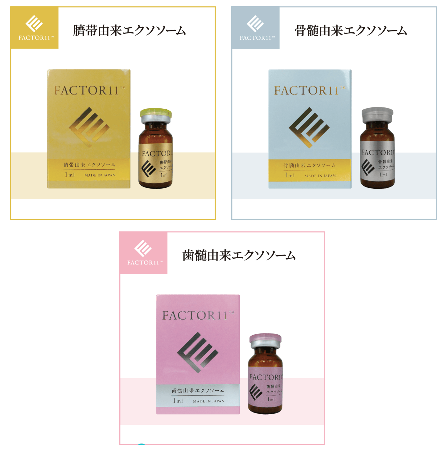 歯科再生医療を加速する高濃度幹細胞培養上清「FACTOR11」の提供を本格化