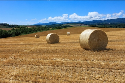 GobPMjtTvzP2TcnEG0SO.jpg?w=940&h=940