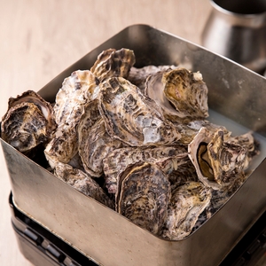 GtTCgBuc8tX0CatjcQou.jpg?w=940&h=940