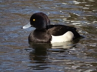 GtjU7siRn0ptk9D6Ocao.jpg?w=940&h=940