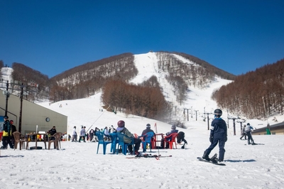 GuQjGrW1WYgpYh1oXaPJ.jpg?w=940&h=940