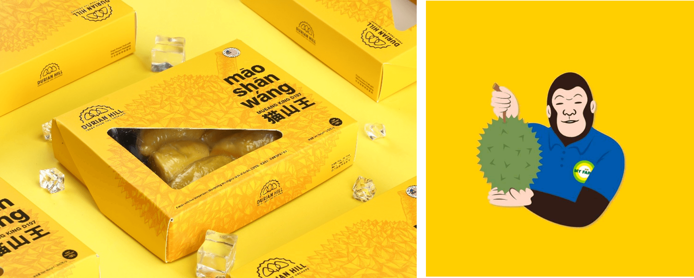 最高級ドリアン「猫山王(ムサンキング)」