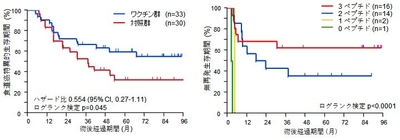 図1　ワクチン投与と不投与の予後比較（左）、図2　ワクチン群のCTLを誘導したペプチド数別無再発生存期間（右）