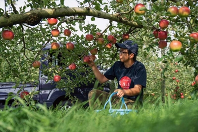 GwCnQmVq4sWzYPIG6sXF.jpg?w=940&h=940