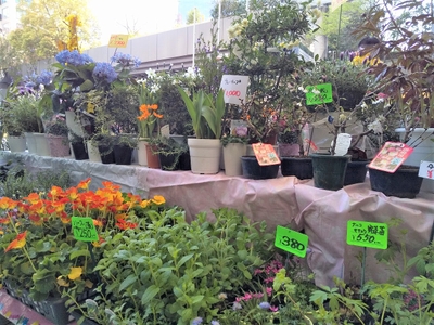 GwIuDrGcZpOc7IqR652t.jpg?w=940&h=940